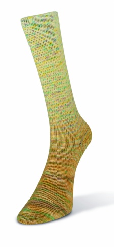 Пряжа Laines du nord Paint gradient sock фото 16