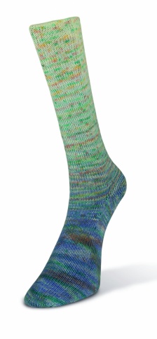 Пряжа Laines du nord Paint gradient sock фото 14
